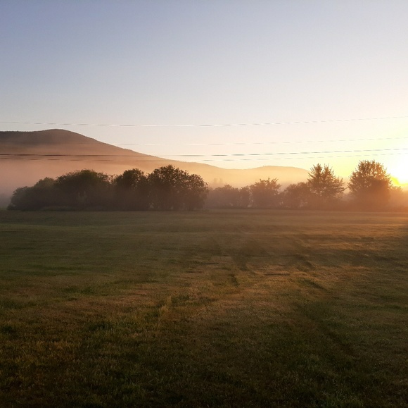 Meet your Posher, Crystie - Picture 1 of 1